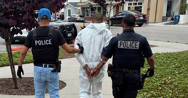 19-Year-Old Charged with Killing Older Artist in California
