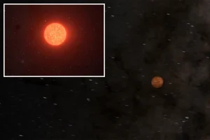Astronomers find a potentially habitable planet close to Earth.