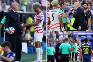 Bosnia coach picks up the ball, receives a yellow card in World Cup defeat to USMNT