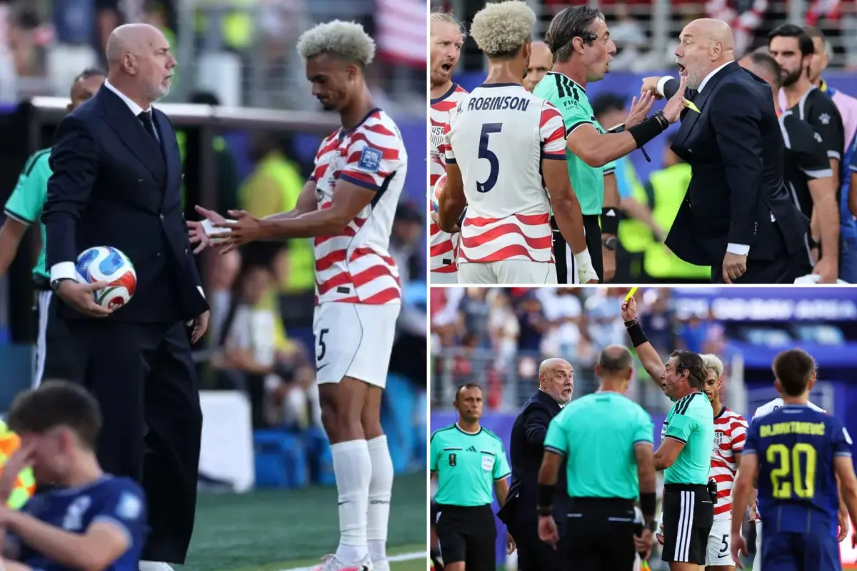 Bosnia coach picks up the ball, receives a yellow card in World Cup defeat to USMNT