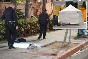Cause of death disclosed for man who severed his penis in DTLA