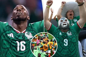 Celebrations for Mexico vs Ecuador created a fake earthquake.