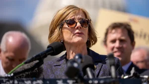 Democrat who promotes working together claims she wants to 'take down' Hegseth