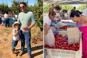 Fruit farmer in California shares surprising outcomes of his large nectarine donation.
