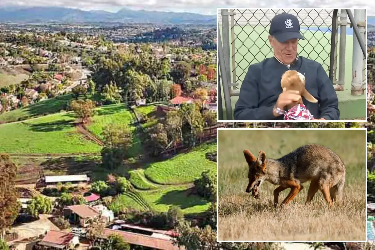 HOA takes legal action against family for changing fence to safeguard pets from threats