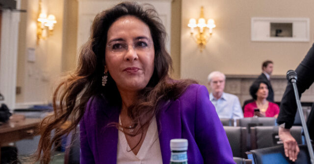 Harmeet Dhillon: Without the Second Amendment, People Are Vulnerable
