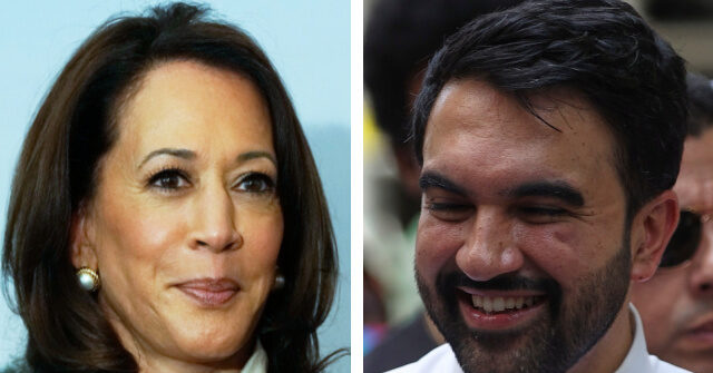 Harris Engages with Mamdani and Pro-Palestinian Advocates Before 2028