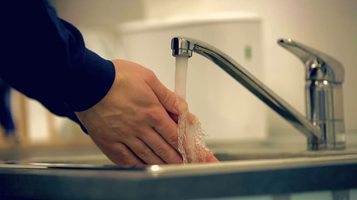 Health officials in Michigan alert about significant and increasing occurrence of cyclosporiasis