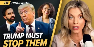 Liz Wheeler shares 5 methods for Trump to counter the social takeover