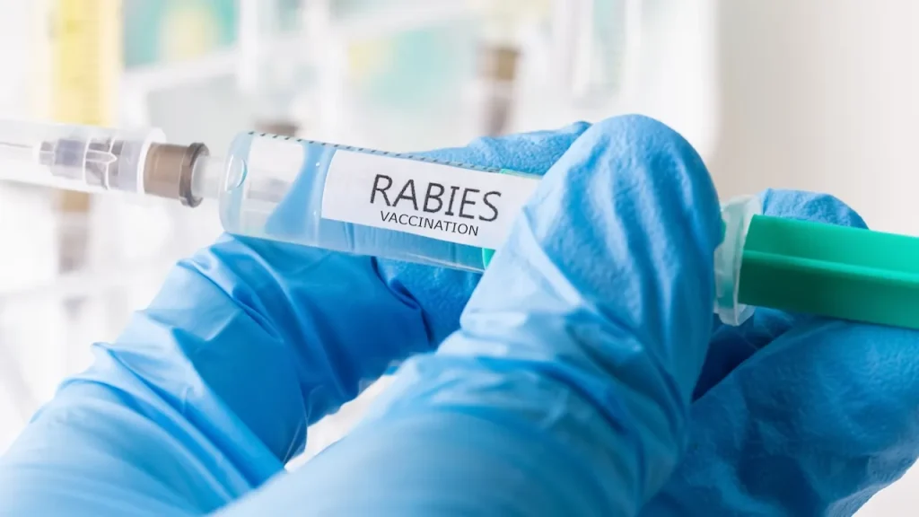 Ontario boy succumbs to rabies infection following contact with bat