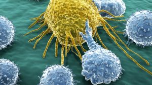Researchers Have Discovered a Never-Ending Supply of Cells That Fight Cancer.