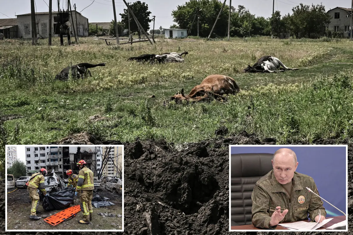 Russia charged with discarding cattle carcasses infected with anthrax in Ukraine