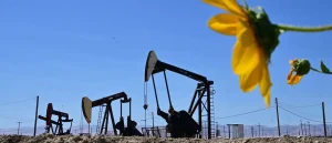 The Power of Freedom in America's Energy Leadership on Our 250th Anniversary