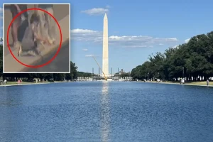 Trump announces updates on the 'crystal clear' Reflecting Pool and urges action against the vandalism suspect.