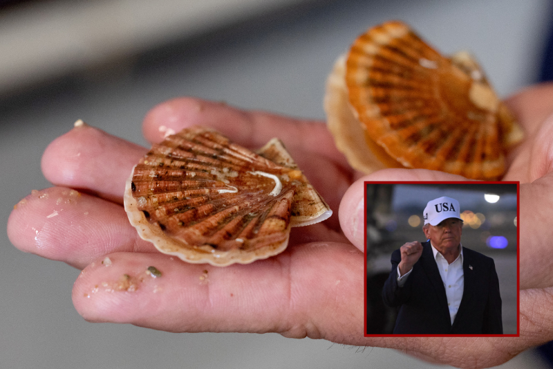 Trump honors fishermen on 'National Scallops Day'
