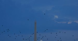 Trump's Speech for America's 250th Anniversary Scheduled for 11:00 P.M.