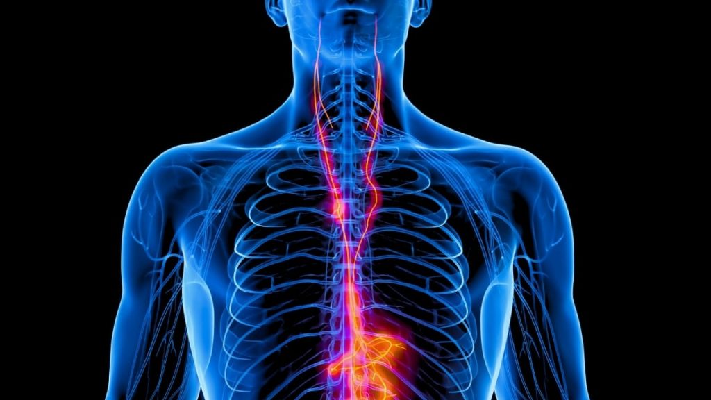 Vagus Nerve Stimulation Reduces Severe Depression by 70%, Major US Study Indicates