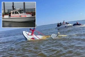 Whale hits and sinks New Jersey fire rescue boat returning from New York Harbor after July 4 celebrations.