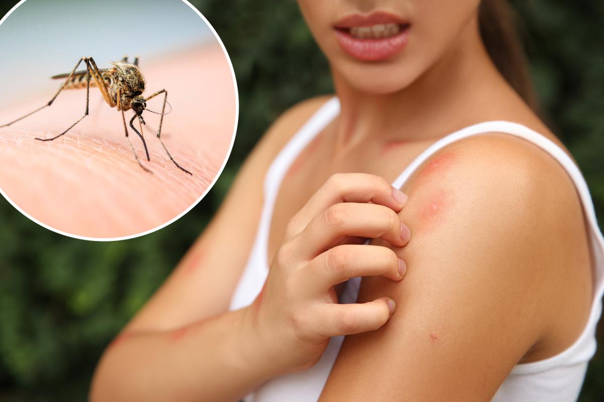 While scratching an insect bite may provide temporary relief, research indicates it's not advisable.