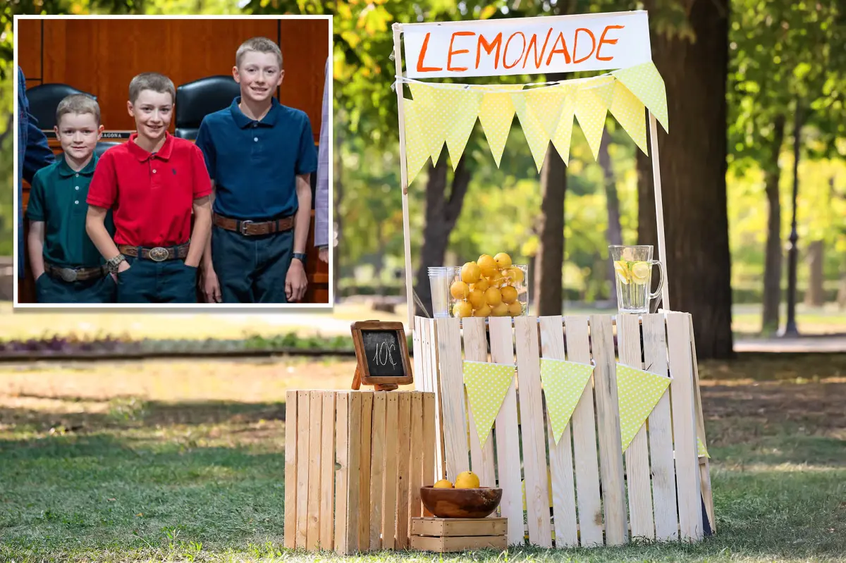 Young brothers campaigned to eliminate Michigan's fee for minors running lemonade stands.