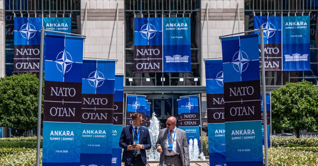 Zelensky Requests Firm Actions from NATO Before Meeting with Trump