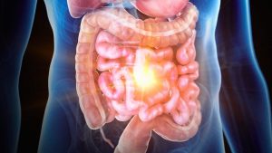 A Chip Has Been Used to Replicate Inflammatory Bowel Disease, Allowing Scientists to Potentially Discover Its Cause.