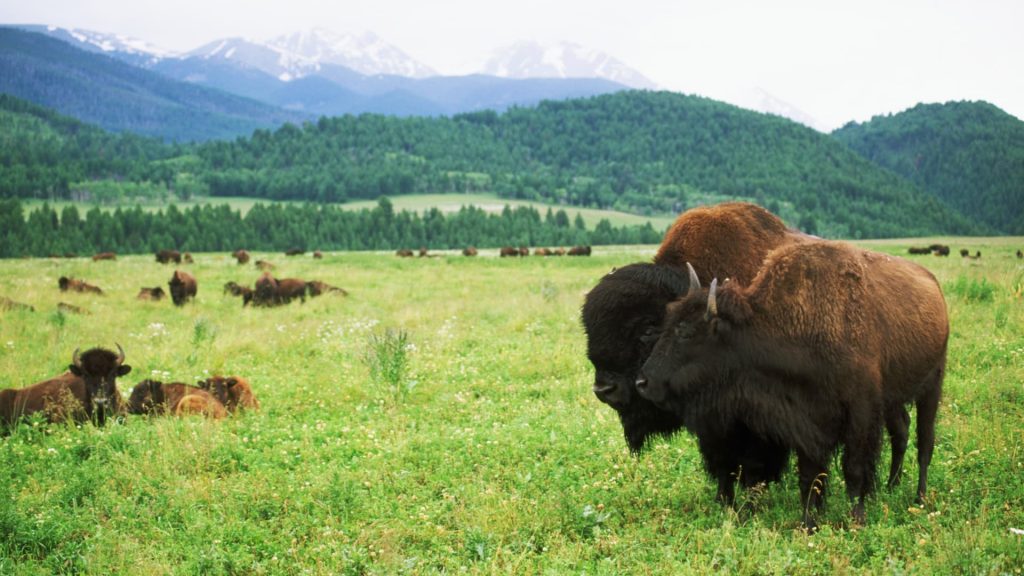 A tax incentive for protecting land is under IRS examination. Here&rsquo;s when it remains beneficial.
