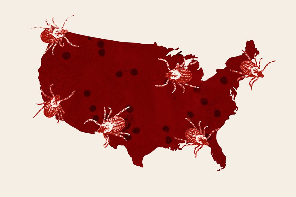 A Tick-Borne Illness Without a Noticeable Rash Is Expanding in the U.S.