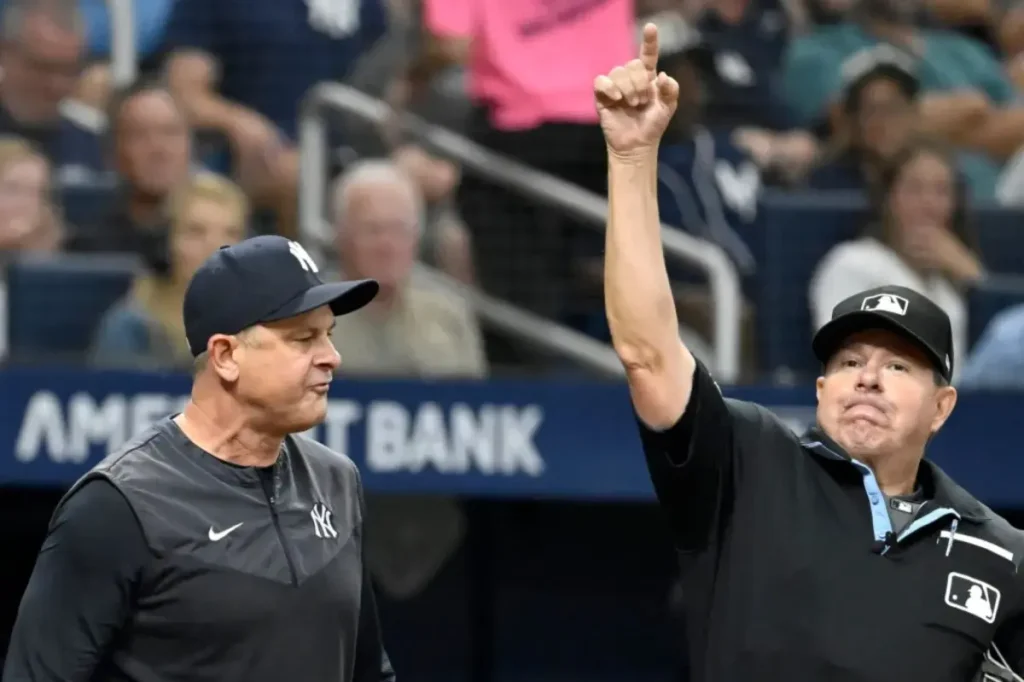 Aaron Boone and Brad Ausmus are thrown out during a review controversy