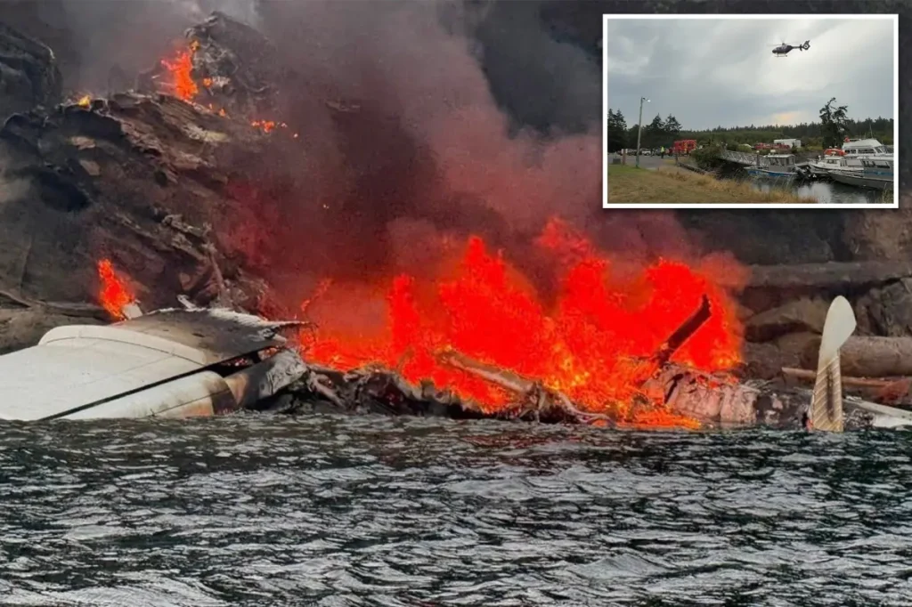 Aircraft with 10 passengers and a pilot ignites following a crash landing in the waters near a Washington island.