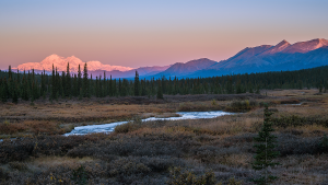Alaska cold case solved after anonymous confession from Michigan man, according to police