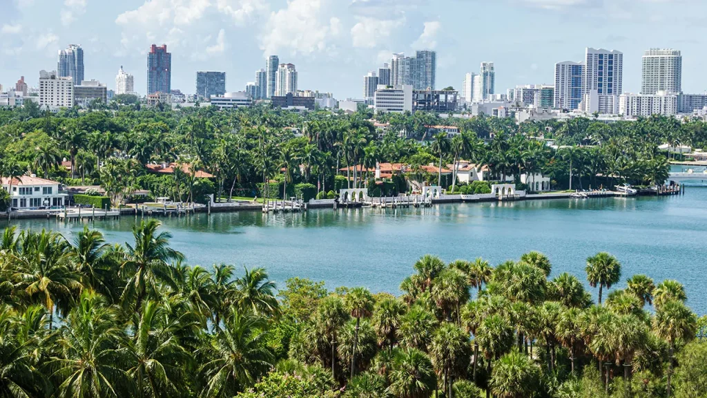 Alphabet grows its Miami office as Californian billionaires advocate for higher taxes.