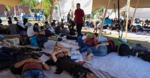 American Who Escaped to the Netherlands Now Fears Violence from Muslim Migrants