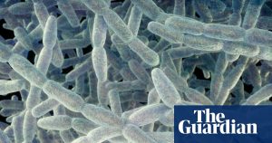 Another person has died in New York City during the outbreak of legionnaires' disease.
