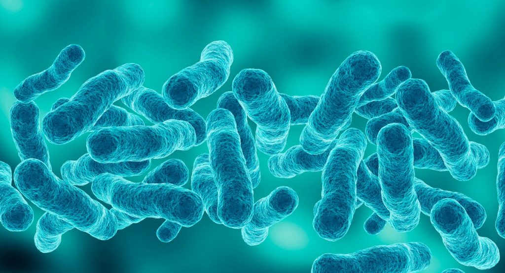 Another person has died in the Legionnaires' outbreak in Manhattan.