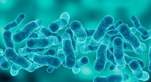 Another person has died in the Legionnaires' outbreak in Manhattan.