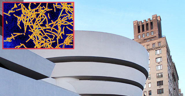 Bacteria Causing Legionnaires' Disease Found in Manhattan Buildings