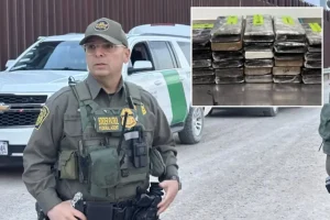 Border officers in Texas intercept $10.8 million in cocaine concealed within a shipment of cabbage