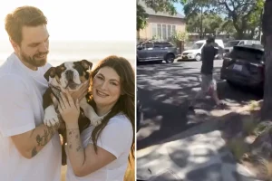 Camp Canine in Santa Barbara reportedly returns a couple's cherished puppy in a tub.