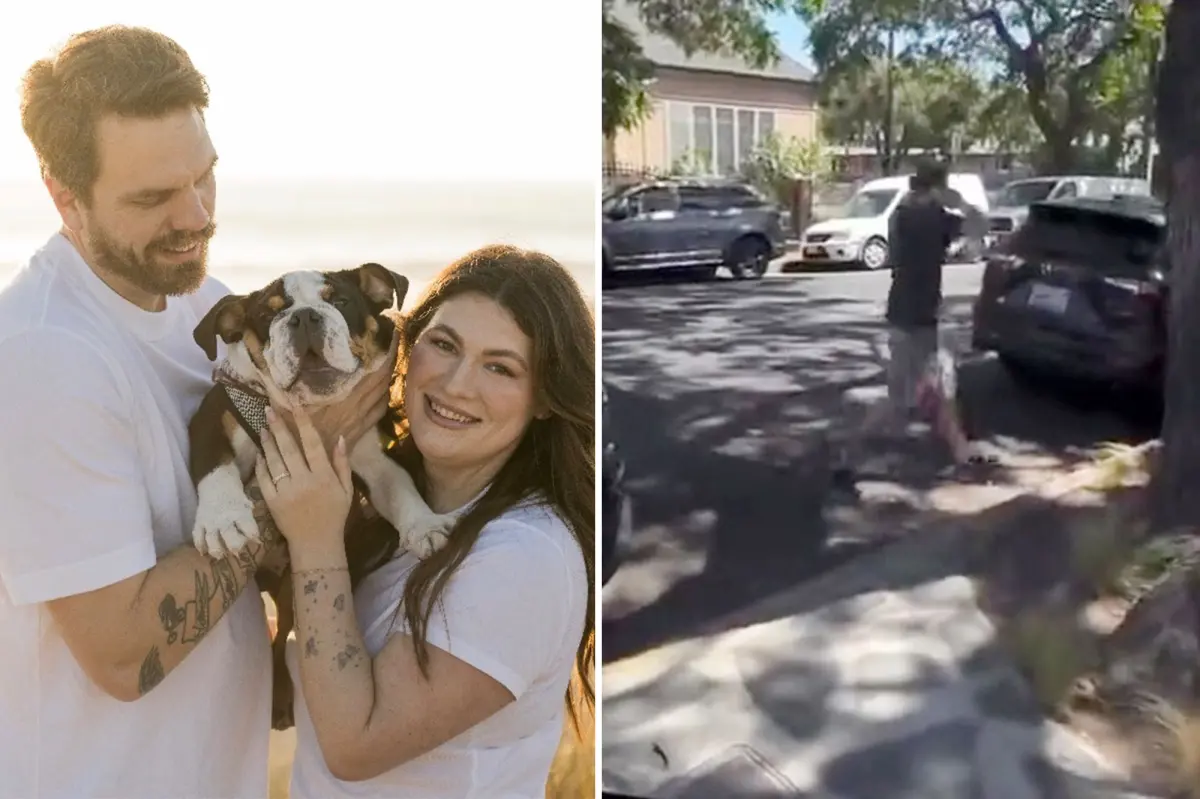 Camp Canine in Santa Barbara reportedly returns a couple's cherished puppy in a tub.