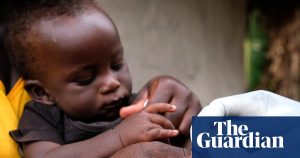 Catnip lotion works as well as Deet for keeping mosquitoes away, study shows