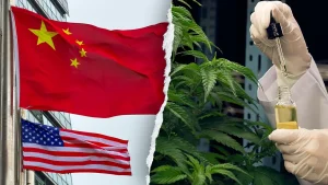 Chad Wolf calls on Congress to investigate China's involvement in the THC hemp market.