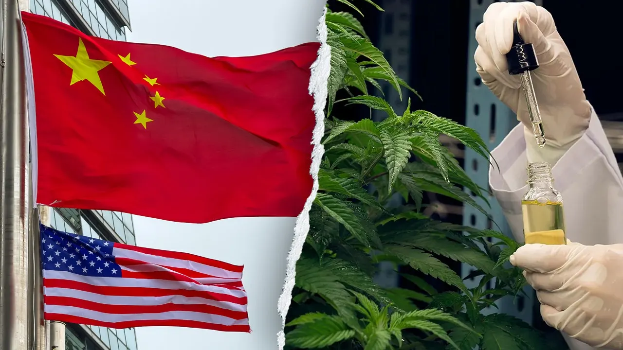 Chad Wolf calls on Congress to investigate China's involvement in the THC hemp market.