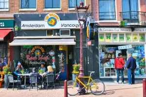City in California approves the establishment of cannabis cafes similar to those in Amsterdam