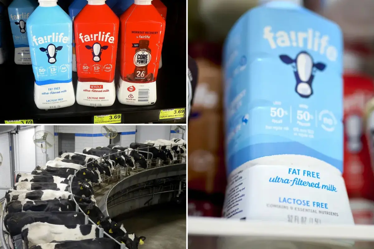 Coca-Cola's milk brand stops US production following a security breach.