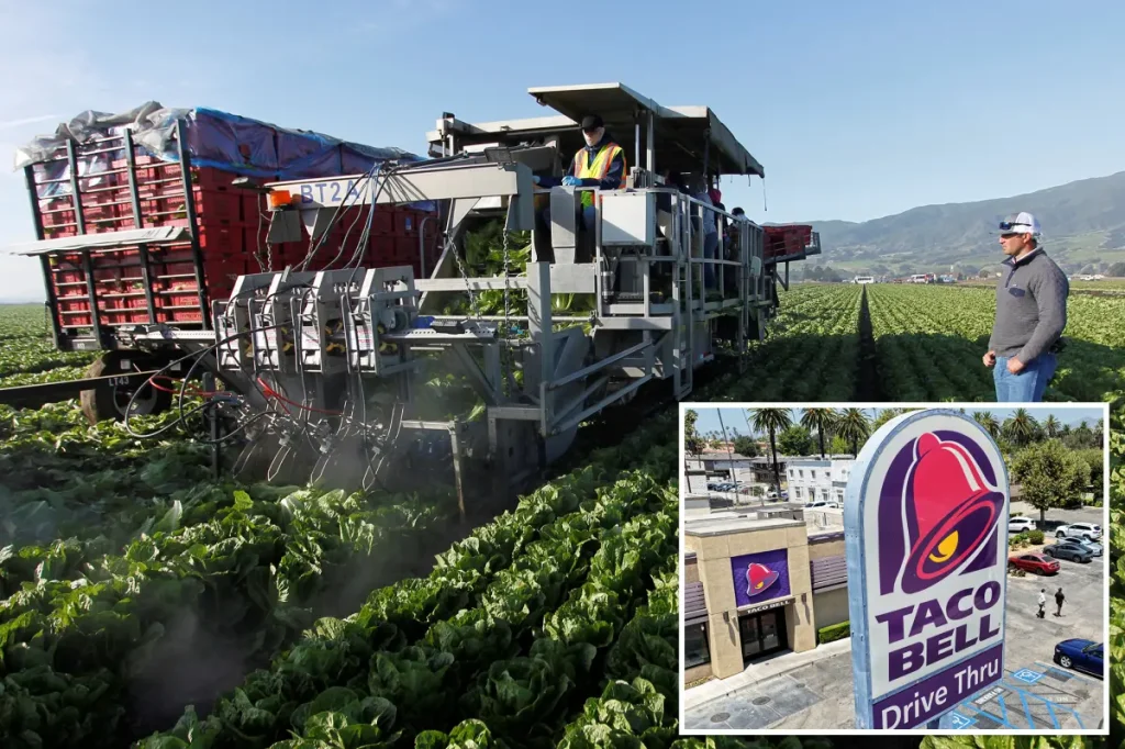 Contaminated Taco Bell lettuce linked to possible cause of severe diarrhea parasite, cyclosporiasis: report