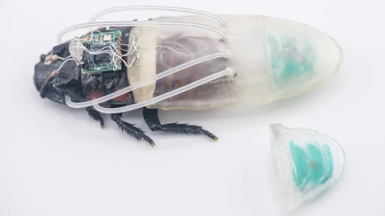 Cyborg cockroach diving suit may help in search and rescue during disasters