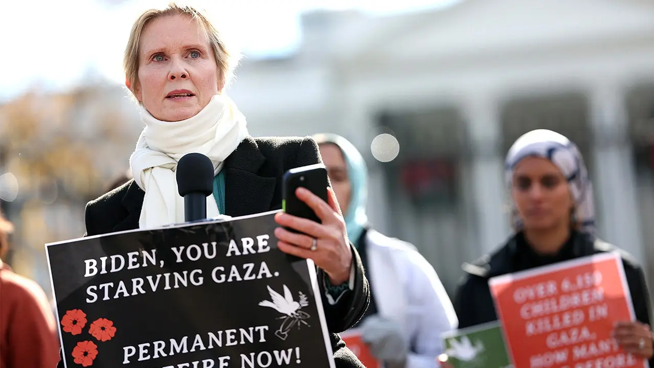 Cynthia Nixon appointed to New York court nomination panel, facing ridicule