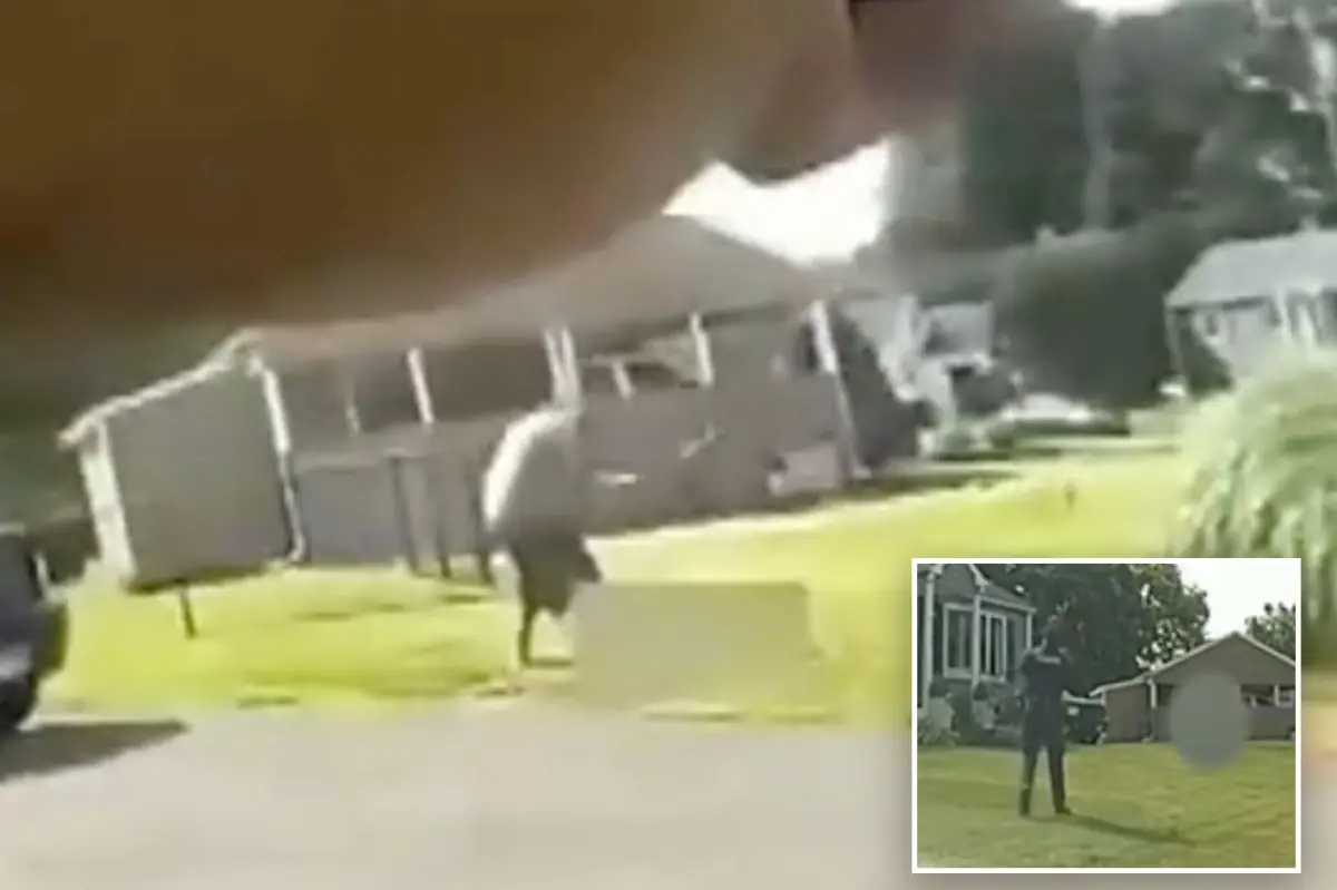 Disturbing police bodycam video reveals Robert Jenkins III attacking his father with a baseball bat outside their home.