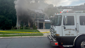 Dog unintentionally activates toaster, resulting in the death of 3 pets in a Maryland fire